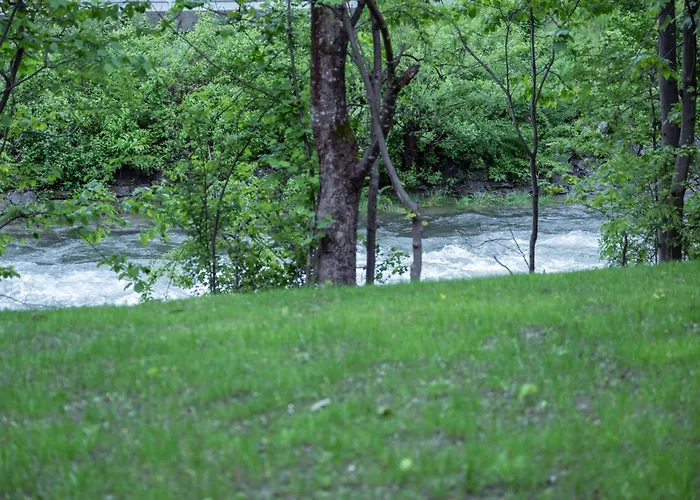 Апартаменты Gries *